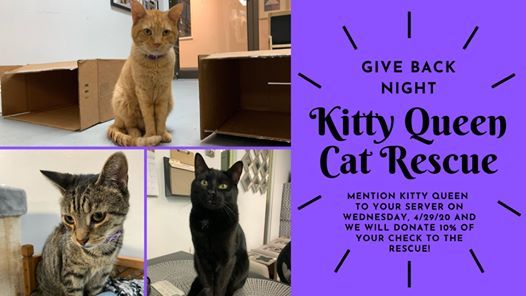Kitty Queen Cat Rescue Dine In Event At Rockefeller S Grille