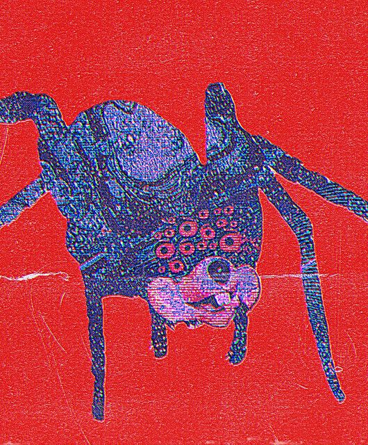 Grim Salvo