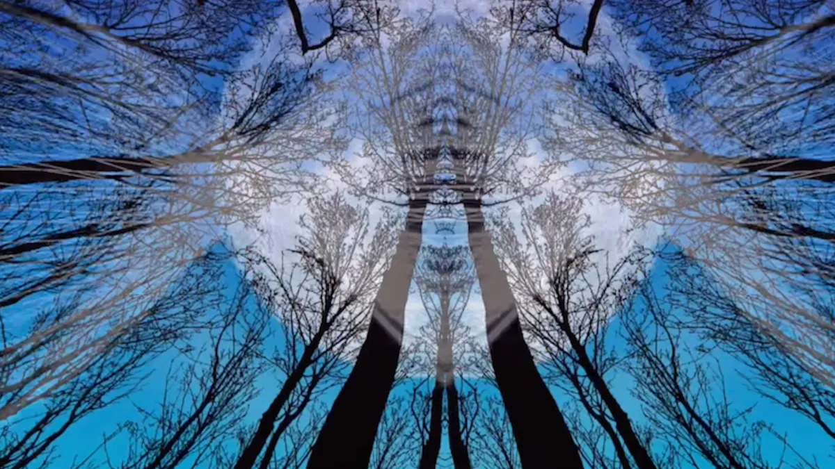 Yaima, Amtrac, Lusine, Yppah, Ramiro in Seattle, 18 December | Event in Seattle | AllEvents