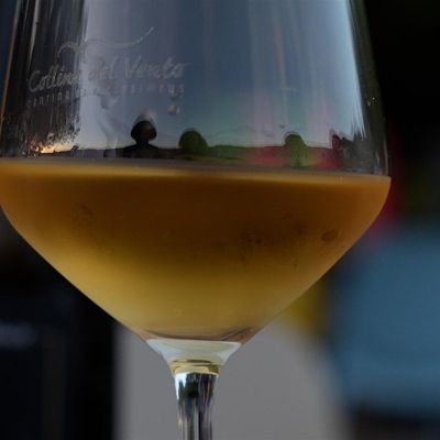 Terra Sarda Wines logo