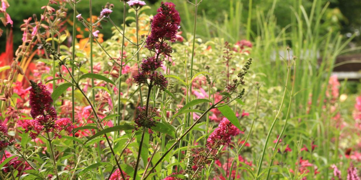 Autumn Colour – combinations to inspire with Jacky and Julia, 26 September | Event in Preston Bissett | AllEvents