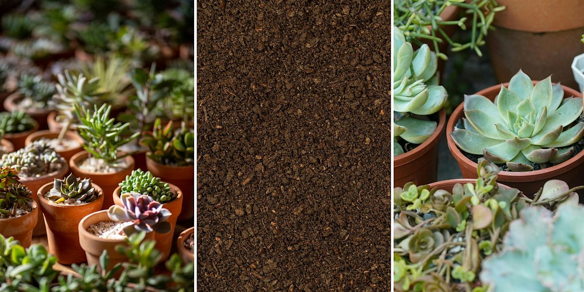 Make a Mini Garden at The Hewett Centre, 19 December | Event in Hewett | AllEvents