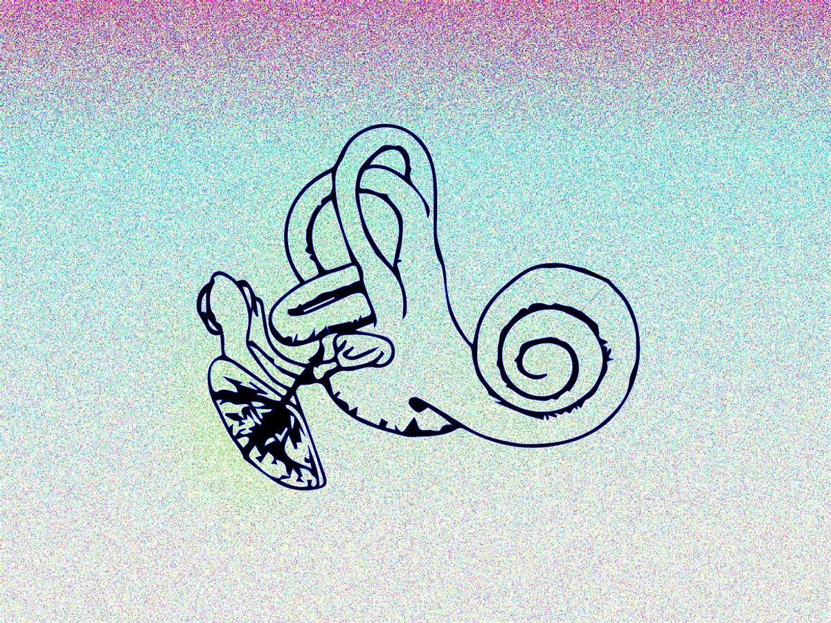 DIY MICROPHONE & HYDROPHONE WORKSHOP, 4 December | Event in Glasgow | AllEvents