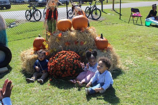 Lily Grace Farms Fall Festival Lily Grace Farms Summerville October 24 2021 Allevents In Azalea Festival Summerville Sc 2022
