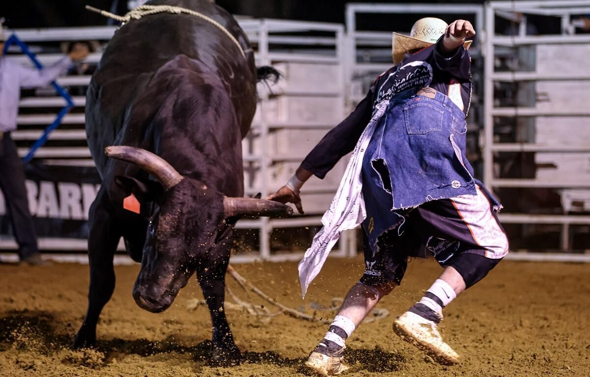 Ocala Bull Bash, 17 July | Event in Dover | AllEvents