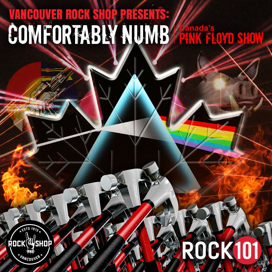 Comfortably Numb - Canada's Pink Floyd Show at Algonquin Commons Theatre, 31 January | Event in Ottawa | AllEvents