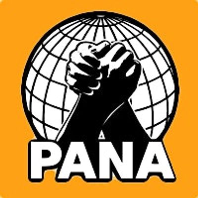 Partnership for the Advancement of New Americans logo