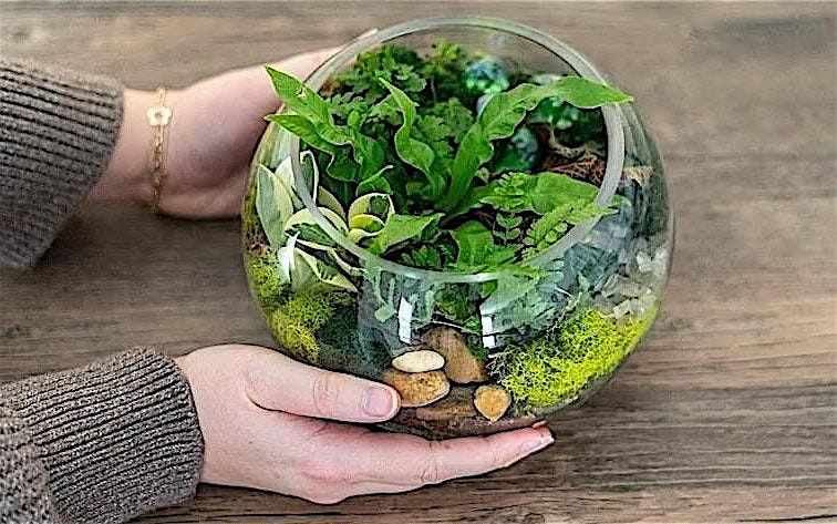 Make-n-Take : Terrariums at Mahoney's Brighton, 18 January | Event in Boston | AllEvents