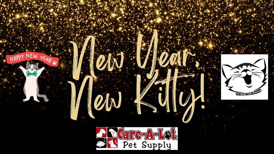 Lil Roar Cat Rescue Adoption Event at CareALot, CareALot Pet Supply