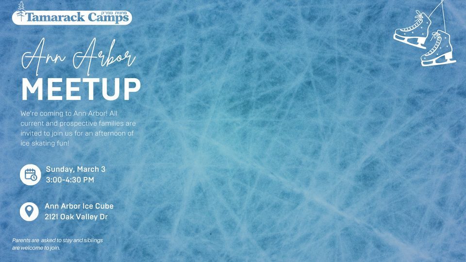 Ann Arbor Ice Skating Meetup, Ann Arbor Ice Cube, March 3 2024 AllEvents.in