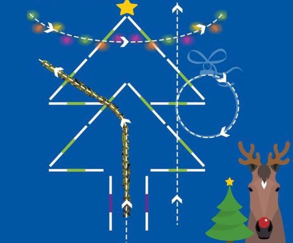 Norton District Riding Club Festive pole work with Lisa Croft , Fir