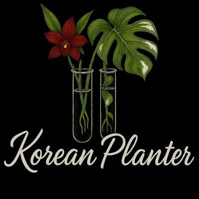Korean Planter logo