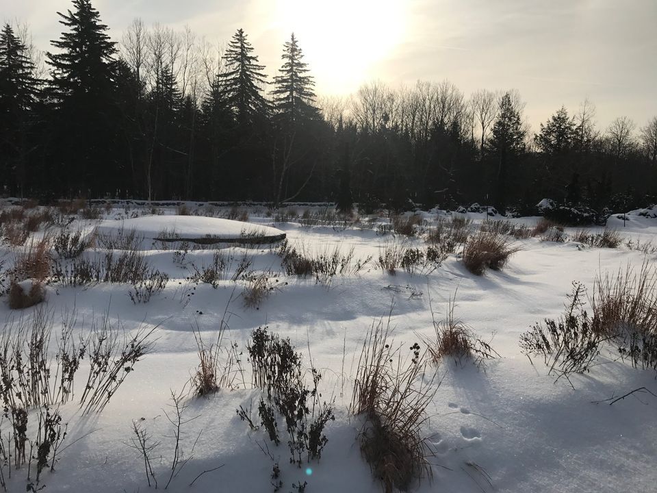Winter Guided Walk with Wild Hudson Valley, Mountain Top Arboretum