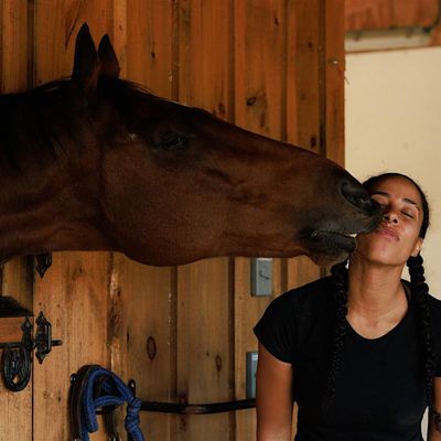 Misty Step Stables