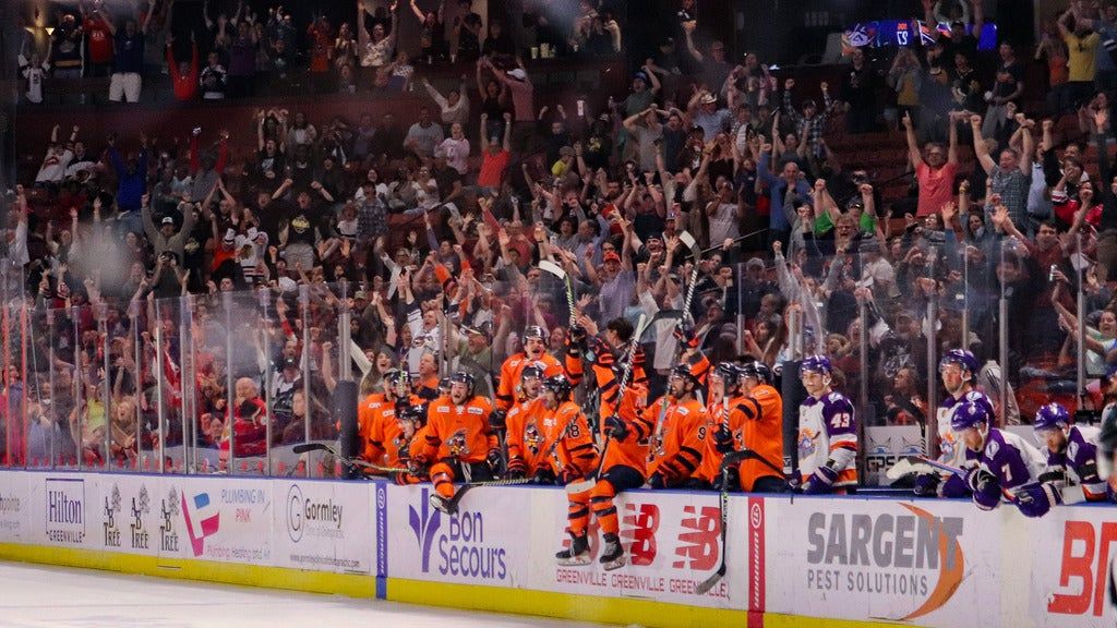 Greenville Swamp Rabbits vs. Atlanta Gladiators, Bon Secours Wellness
