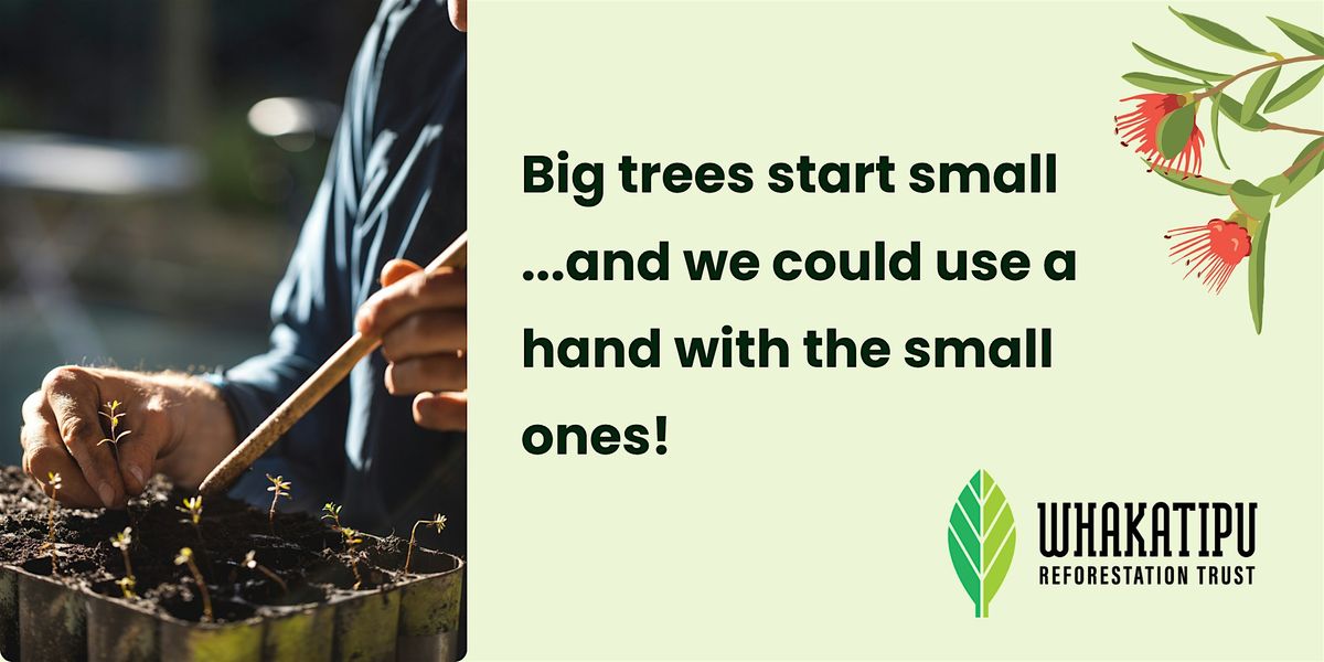 Community Nursery - evening volunteer sessions | Event in Queenstown | AllEvents