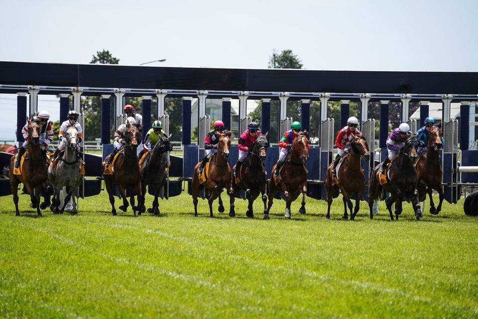 Gold Card Raceday, New Plymouth Raceway, 27 October 2023 | AllEvents.in
