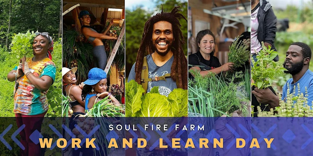 Awaken on the Land: A Community Work & Learn Journey