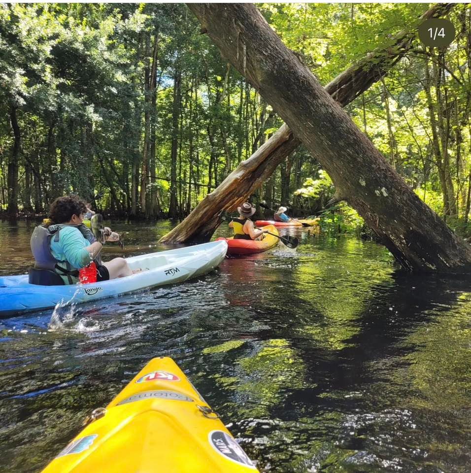 Mangroves Cocoa Beach BYOB (Bring Your Own Boat), Ramp Road Park, Cocoa