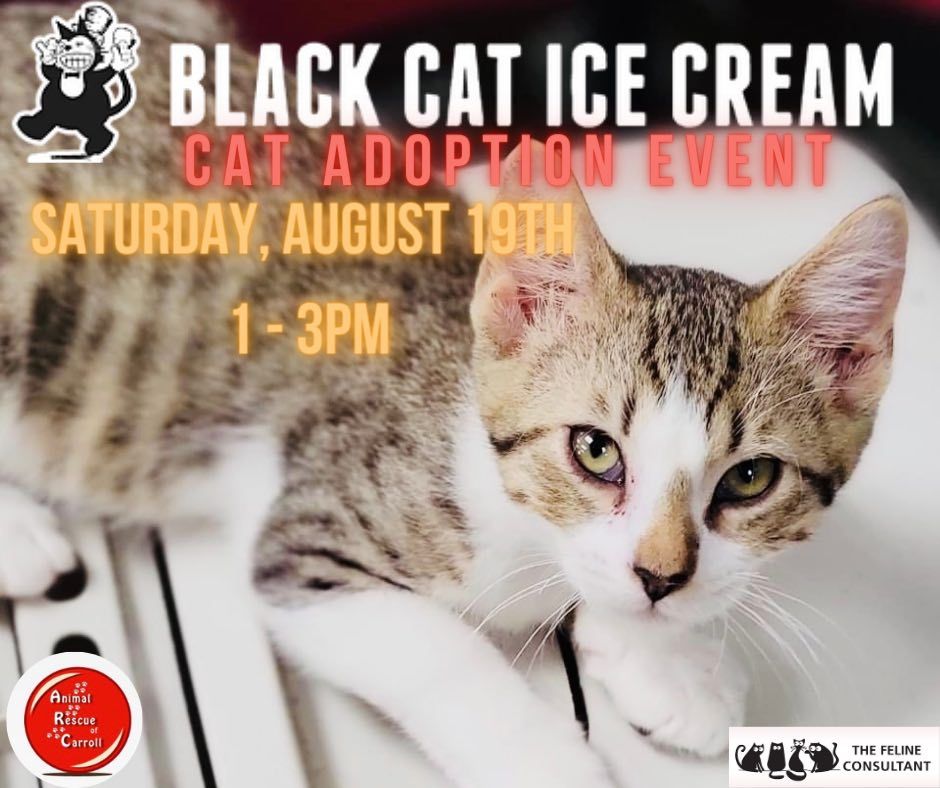 Black Cat Ice Cream Adoption Event, Black Cat Ice Cream, Des Moines, 19