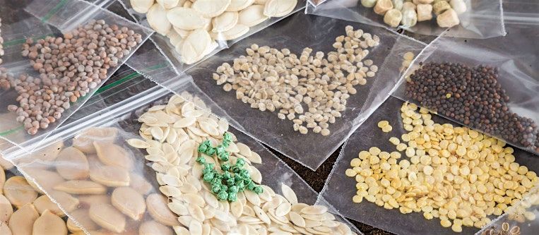 Seed Saving: from basil to zucchini, BZP Tuolumne, 14 November | Event in Sonora | AllEvents
