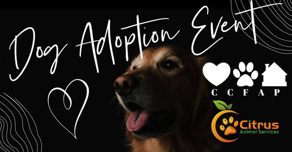 Adoption Event at Rural King, Crystal River, Rural King Supply (1801 US