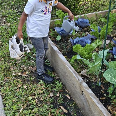 Alexis J. Barnes logo