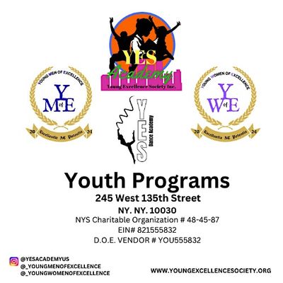 Young Excellence Society Inc logo