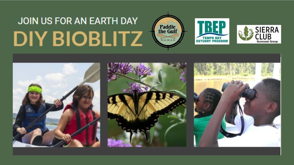 Earth Day DIY Bioblitz Clam Bayou Nature Park Clam Bayou Nature Park earth-day-diy-bioblitz-clam-bayou-nature-park-clam-bayou-nature-park