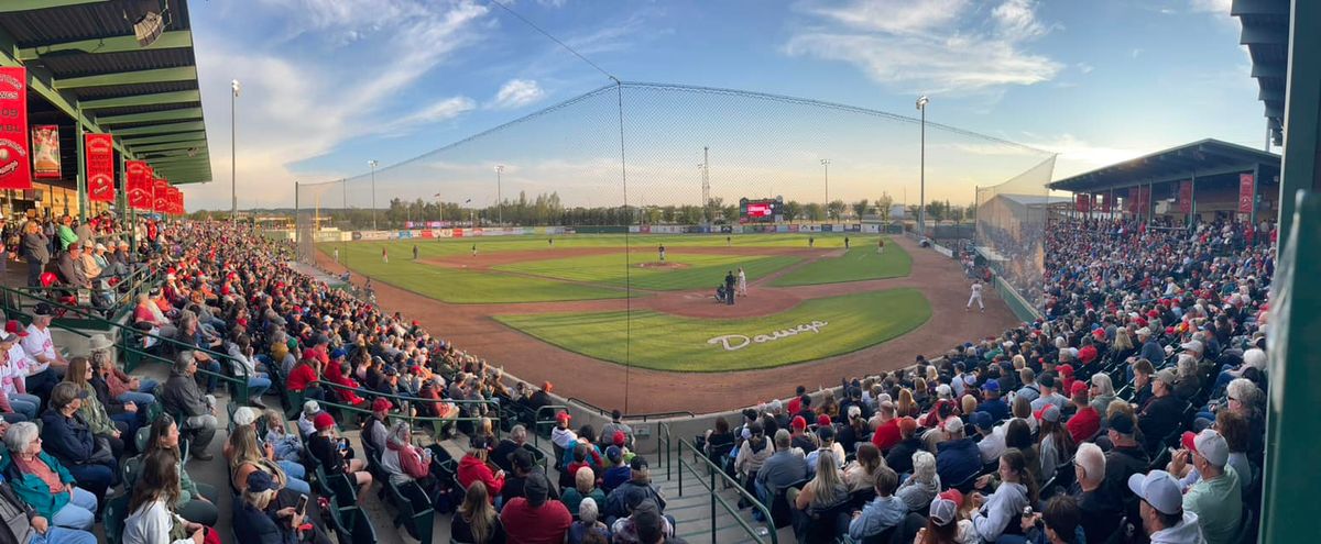 Saskatoon Berries at Okotoks Dawgs, 16 July | Event in Okotoks | AllEvents