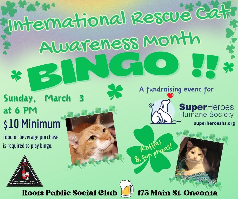 march-bingo-roots-public-social-club-oneonta-3-march-2024-allevents