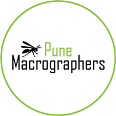 Pune Macrographers
