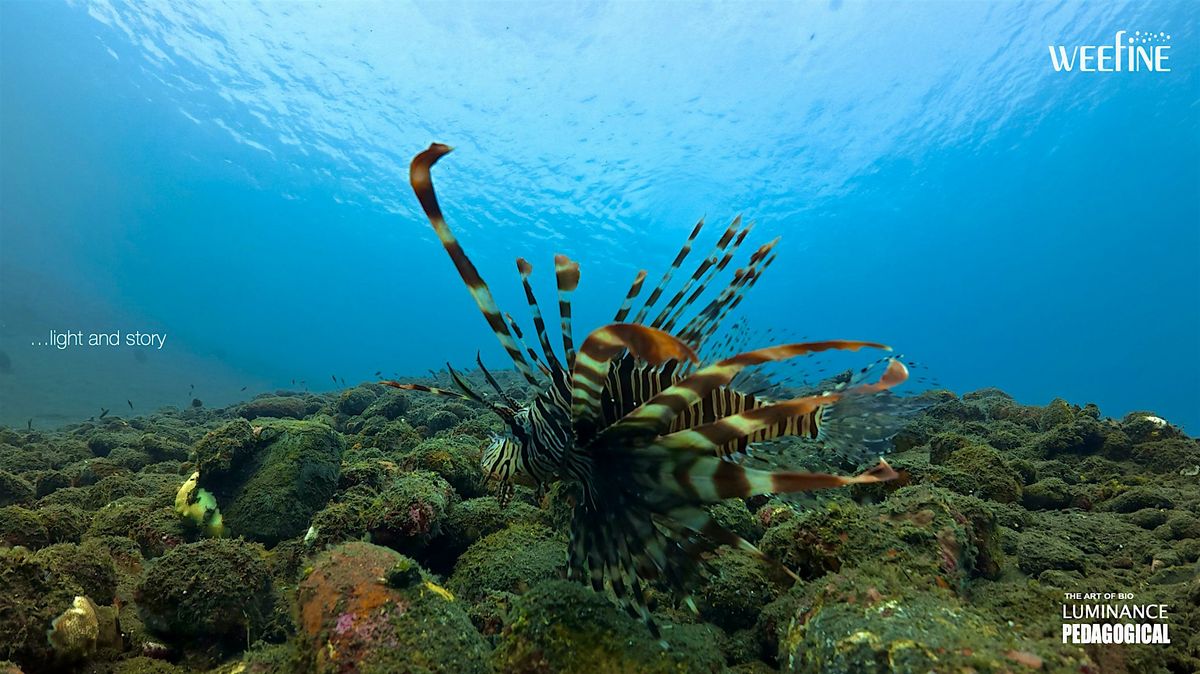 LunchTime Wellness Series -  UW  Imagery  using Action Camera with Zul, 21 January | Event in Singapore | AllEvents