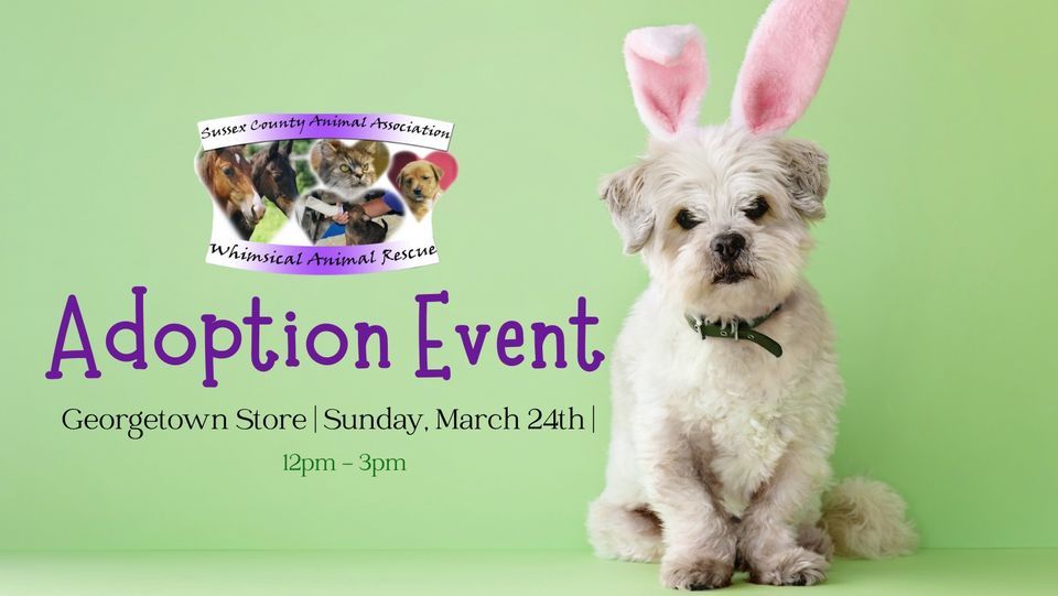 Whimsical Adoption Event , 6 College Park Ln, DE 199472178