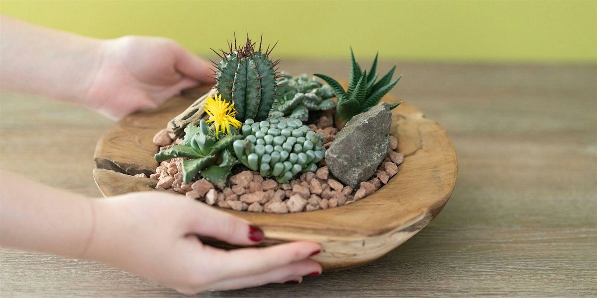 Make-n-Take : Wooden Succulent Bowl at Mahoney's Falmouth, 10 January | Event in Falmouth | AllEvents