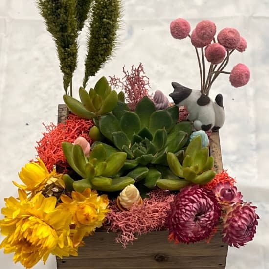 Succulent Treasure Box Workshop | Event in San Mateo | AllEvents