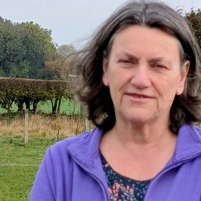 Grounded Presence with Anne Parsons logo