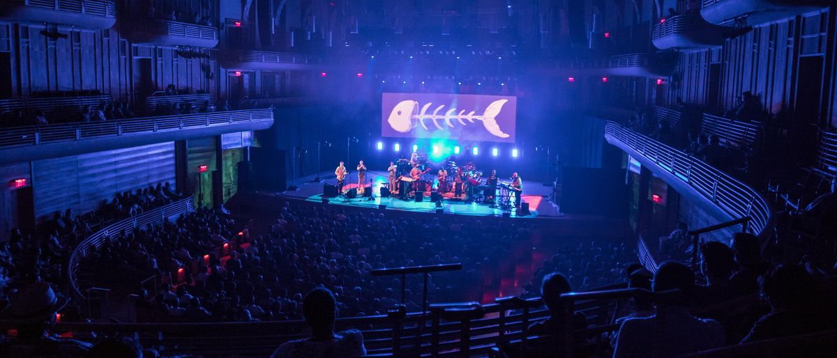 Snarky Puppy in Auckland, 25 May | Event in Auckland | AllEvents