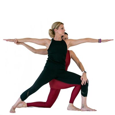 Willow Gardens Yoga Studio logo