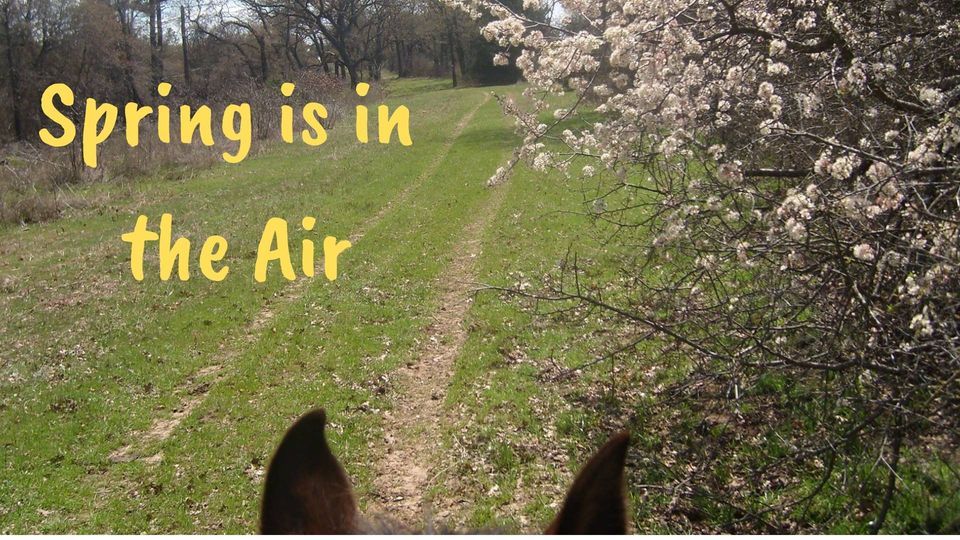 7IL Scamper 2024 NATRC Competitive Trail Ride, 7IL Ranch, Cat Spring ...