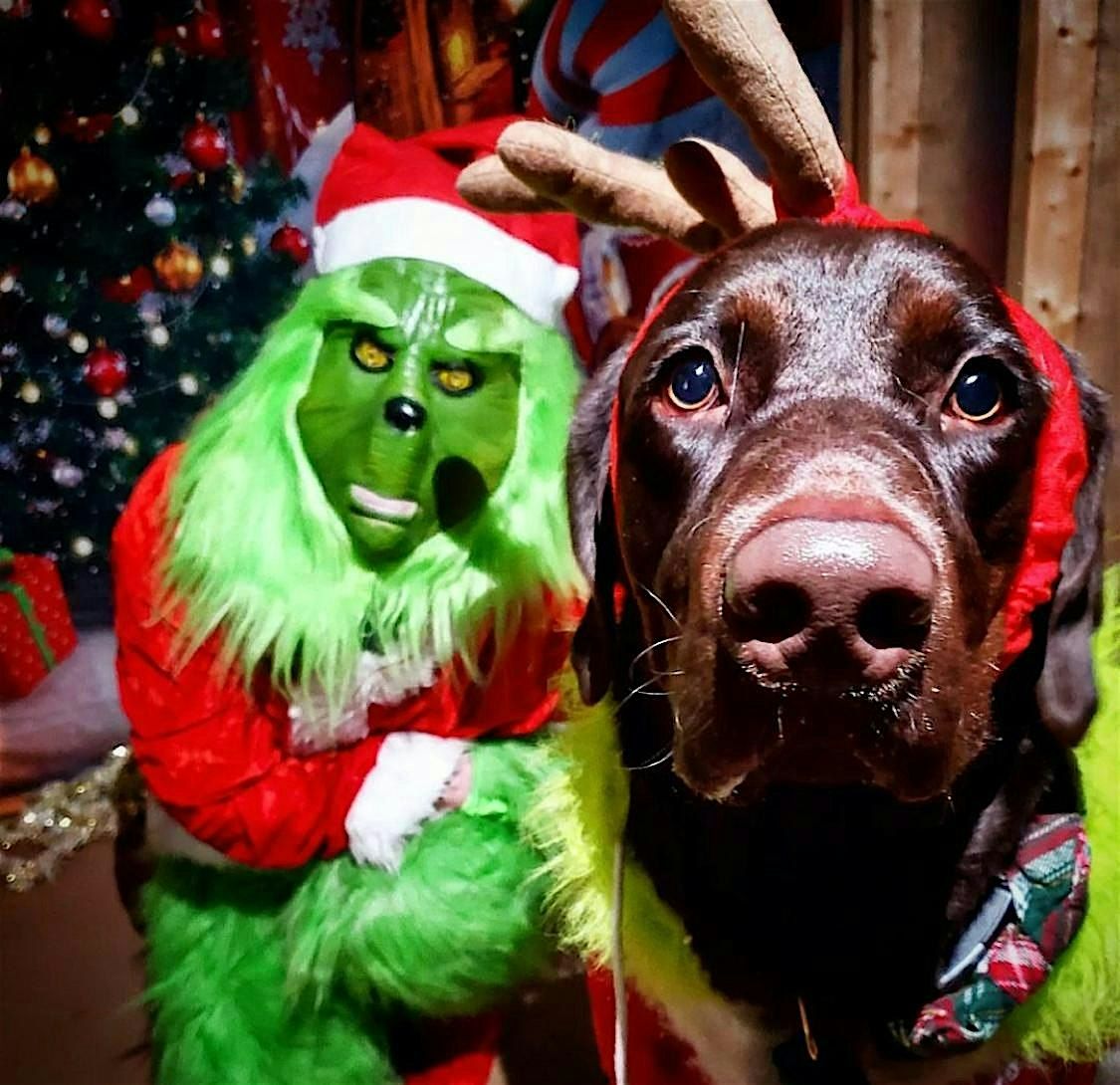 PUP PHOTOS WITH THE GRINCH | Event in Denver | AllEvents