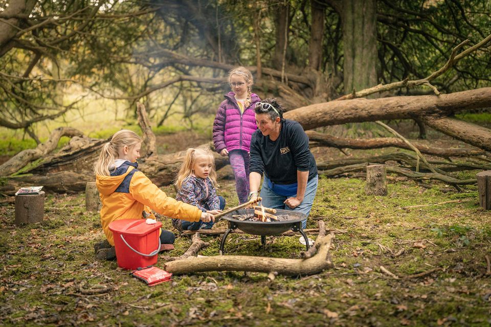 Forest Family Fun Brandy Hole Copse children 410yrs, Brandy Hole Copse, Brandy Hole Lane
