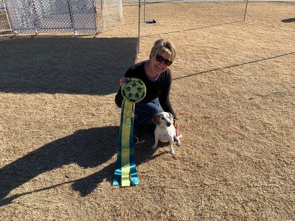 Desert Dawg Sports Feb CPE agility trial, Brandi Fenton Memorial Park