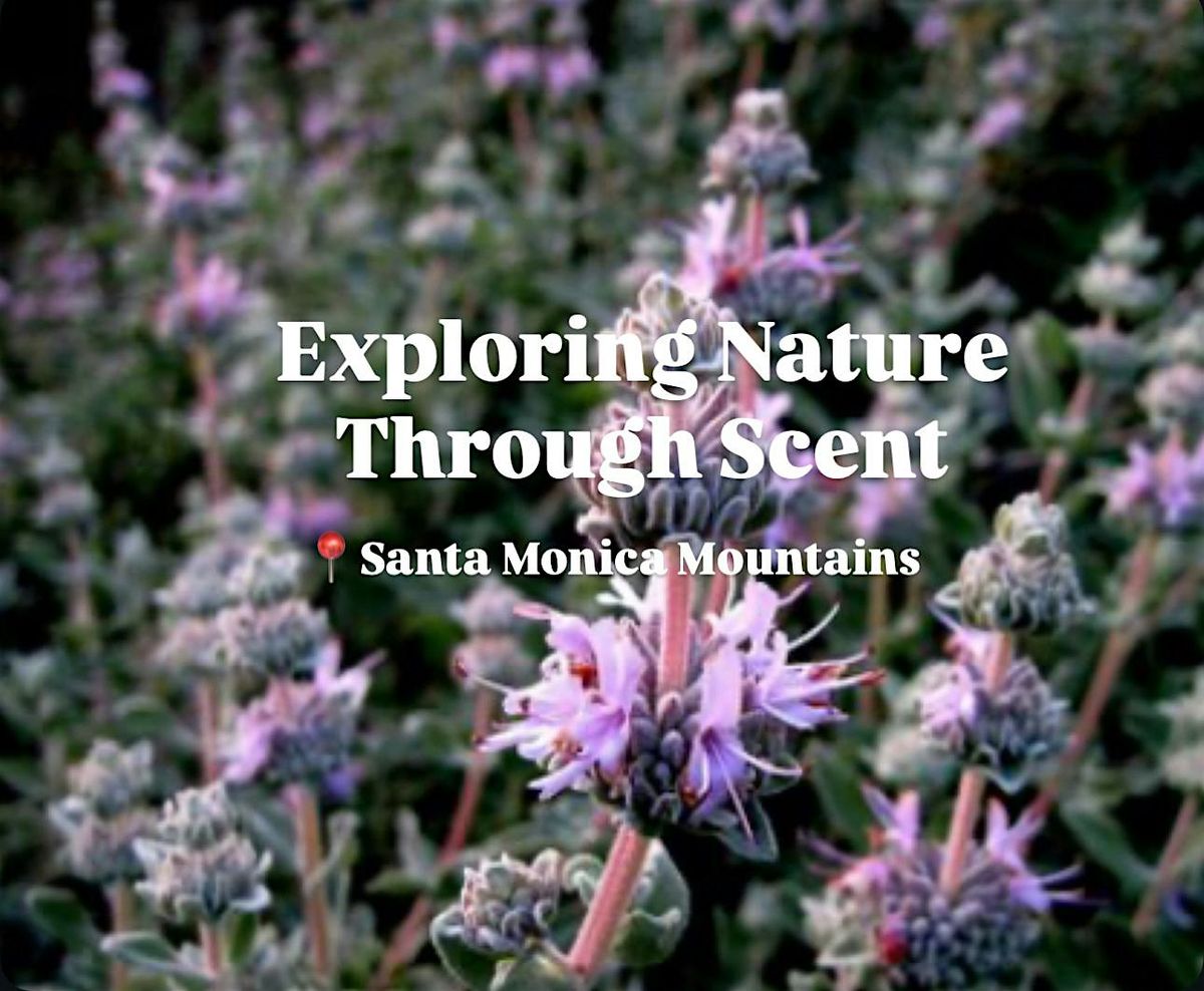 Exploring Nature Through Scent, 30 November | Event in Calabasas | AllEvents