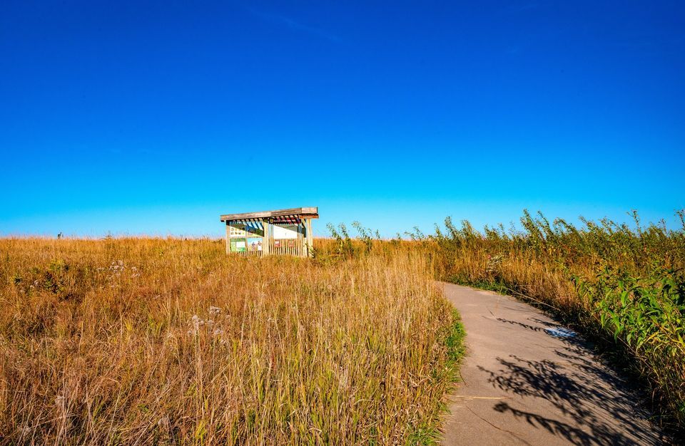 Late Fall Photography Walk, Neal Smith National Wildlife Refuge