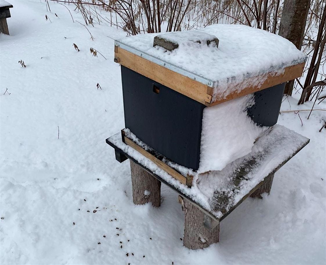 Beekeeping for Beginners – Fall/Winter Workshop 4 of 4, 16 August | Event in Hamilton | AllEvents