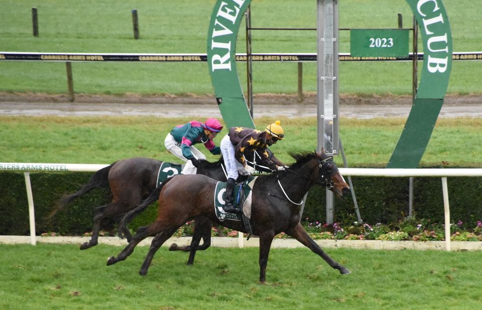 Riverton New Years Day races, Riverton Racecourse, Invercargill, 1