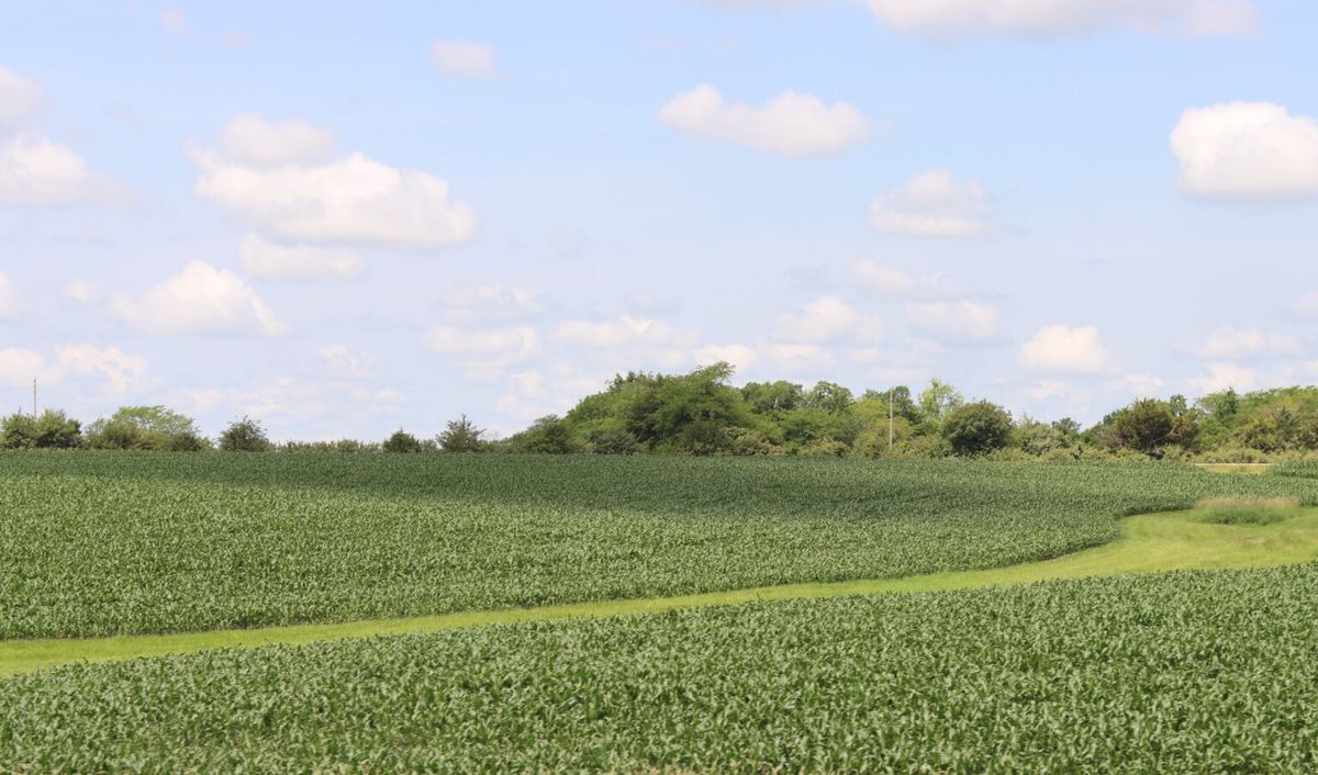 Unsettled, 11 December | Event in Cleveland | AllEvents