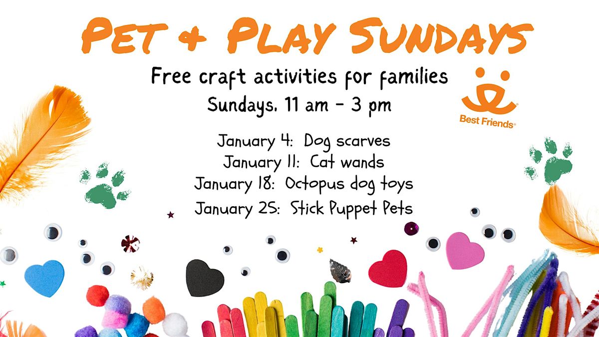 Pet and Play Sundays with Best Friends
