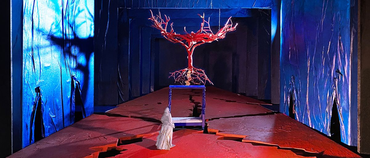 Metropolitan Opera - El Ultimo Sueno de Frida y Diego at Metropolitan Opera House, 14 May | Event in Manhattan